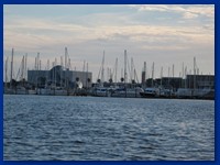 IMG_5733